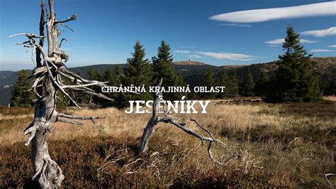 krajinná vegetácia