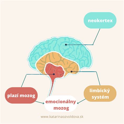 Fyziologické procesy tela počas hladovania