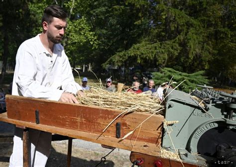 Proces mletia obilia