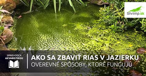 Schéma faktorov ovplyvňujúcich rast rias v jazierku