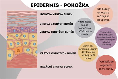 Hydratácia pokožky po liečbe