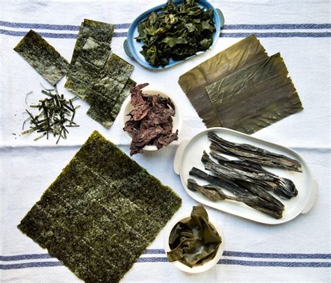 Mapa rozšírenia morských rias Wakame, Nori, Kombu a Arame