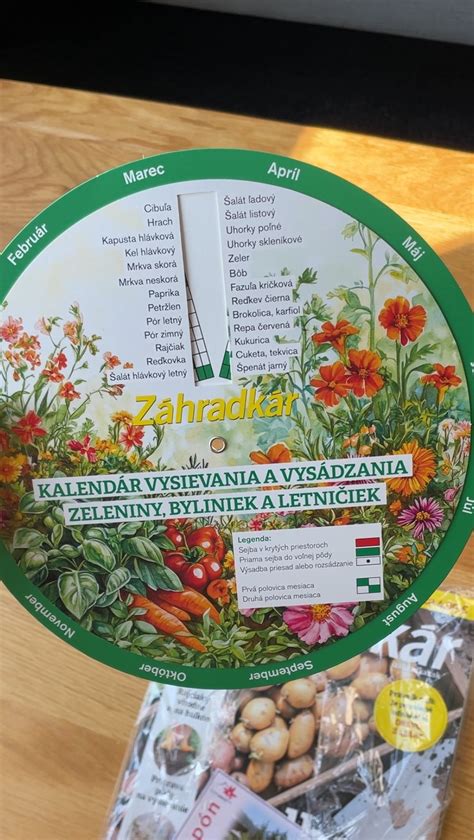 Mechanické bariéry proti mačkám v záhrade