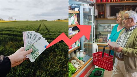 Infografika: Vývoj cien potravín a kúpnej sily