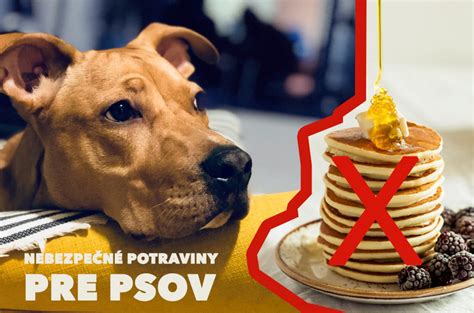 Varovné znaky pre psov: zakázané potraviny