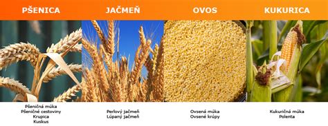 Rôzne obilniny a pseudoobilniny: Kuskus, quinoa, pohánka, krúpy, ryža
