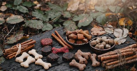 Štruktúra dávkovania byliniek pre psov