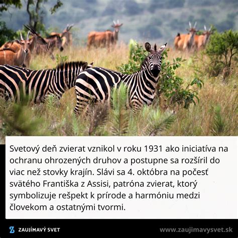 Zdravotné benefity kukurice