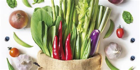 Ilustrácia rôznych druhov čerstvej zeleniny