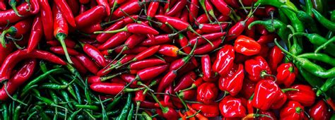 Mapa rozšírenia chilli papričiek po svete