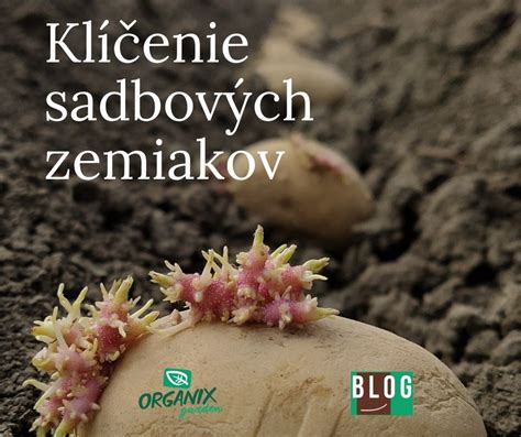 Rodinná firma OVO-SADBA a jej sortiment sadbových zemiakov