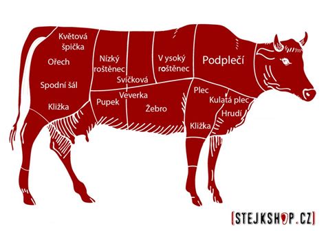 Rôzne druhy omáčok na steak