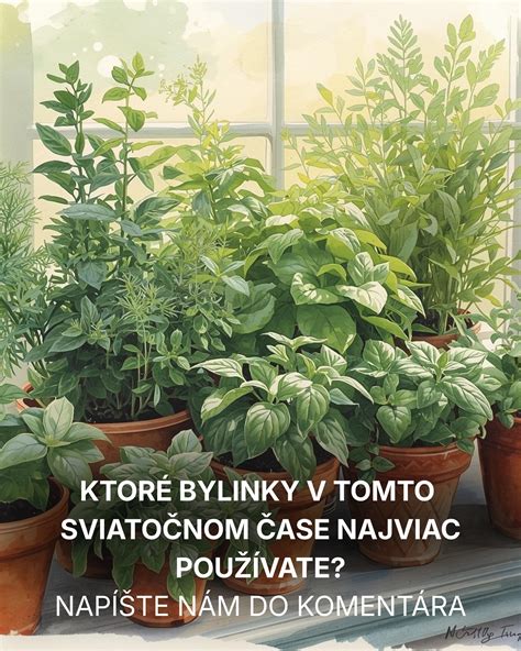 Svieže bylinky ako bazalka, tymian a rozmarín