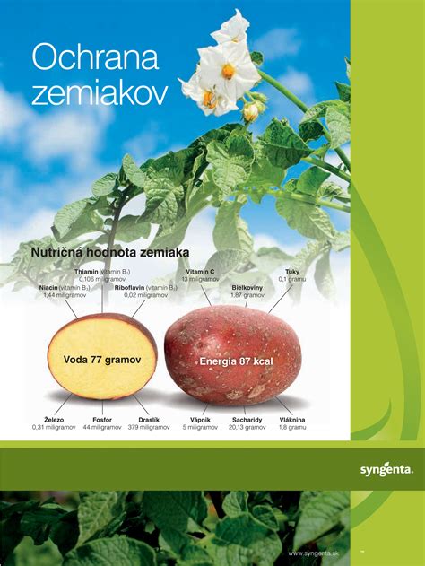 Prevencia a ochrana zemiakov pred škodcami