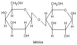 Schéma hydrolýzy sacharózy na glukózu a fruktózu
