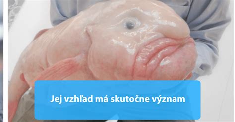 Blobfish - najškaredšie zviera na svete