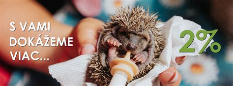 Ilustrácia: Rozdiel medzi kastráciou a sterilizáciou u zvierat