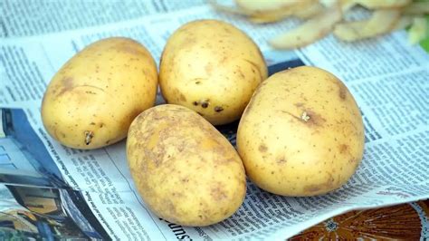 Koláž všetkých surovín na farmárske zemiaky