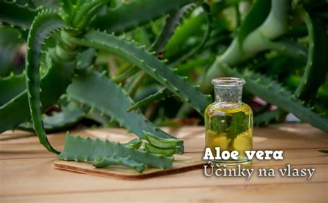 Aloe vera na zmiernenie príznakov rosacey
