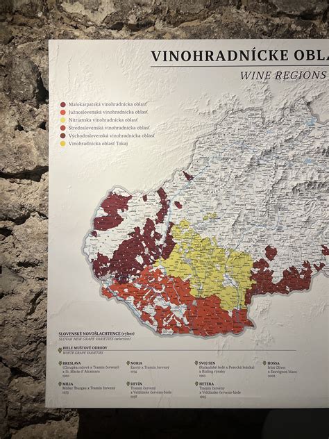 Mapa vinárskych regiónov vhodných k divinine