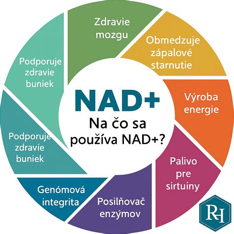 Infografika: Prehľad hlavných zdravotných účinkov Lapacha