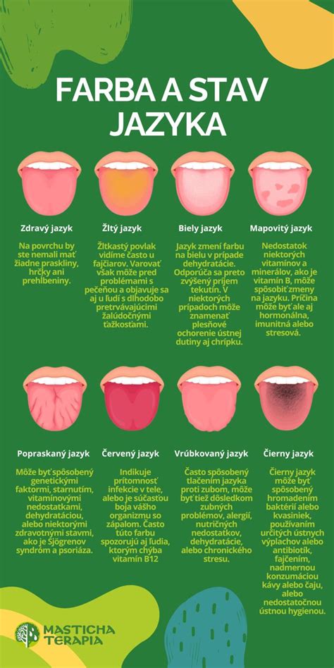 Grafika zobrazujúca rôzne typy jazykových papíl a ich umiestnenie na jazyku