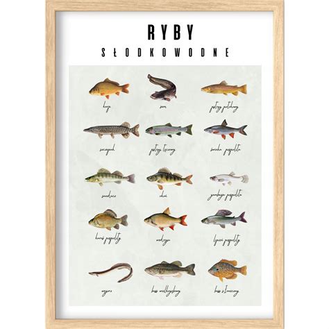 Rôzne typy udiarní na ryby