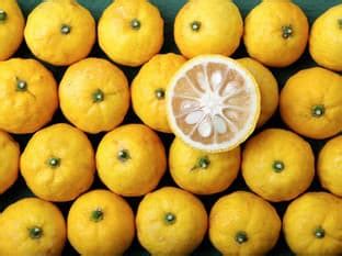 Yuzu ovocie