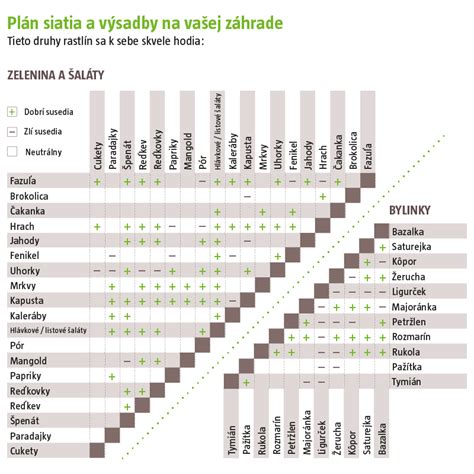 Obrázok byliniek a zeleniny spolu v záhone