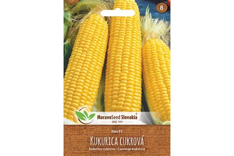 Detailné zrná kukurice