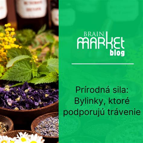Bylinky pre trávenie