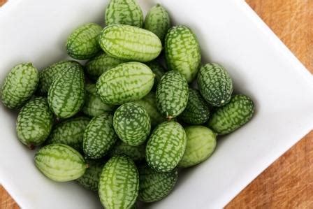 Mexická uhorka (cucamelon)