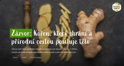 Zázvor a jeho využitie