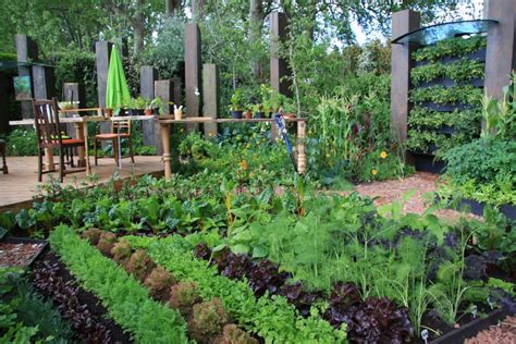 Zeleninová záhrada s čerstvou úrodou