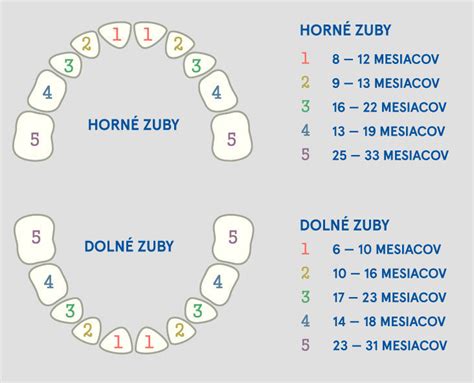 Detské zuby