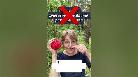 Schéma: Anatómia panvového dna a jeho posilňovanie s vibračným vajíčkom