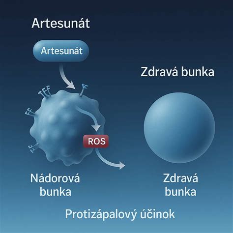 Rakovinová bunka a zdravá bunka