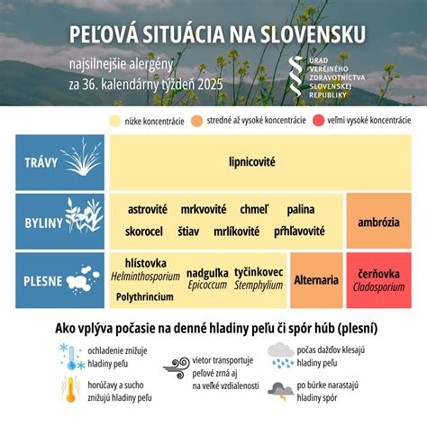 Zloženie zeleninových štiav