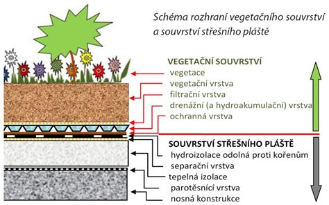 Schéma optimálneho sponu pre výsadbu rímskeho šalátu