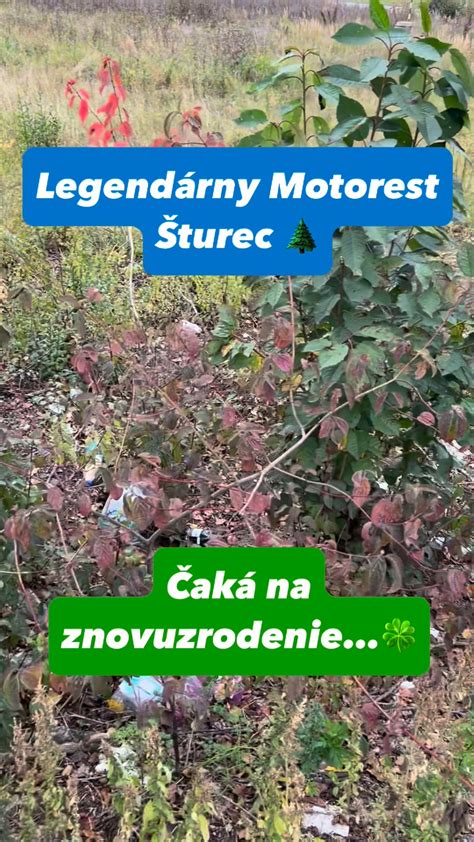 Motorest Šturec - exteriér a okolie