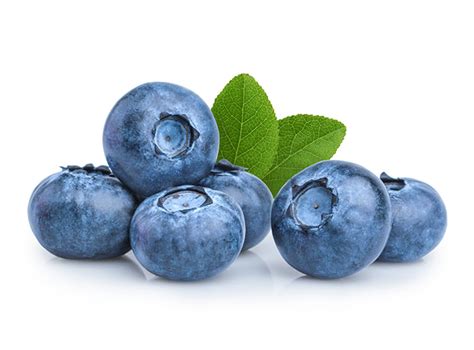 Bobule čučoriedky a brusnice