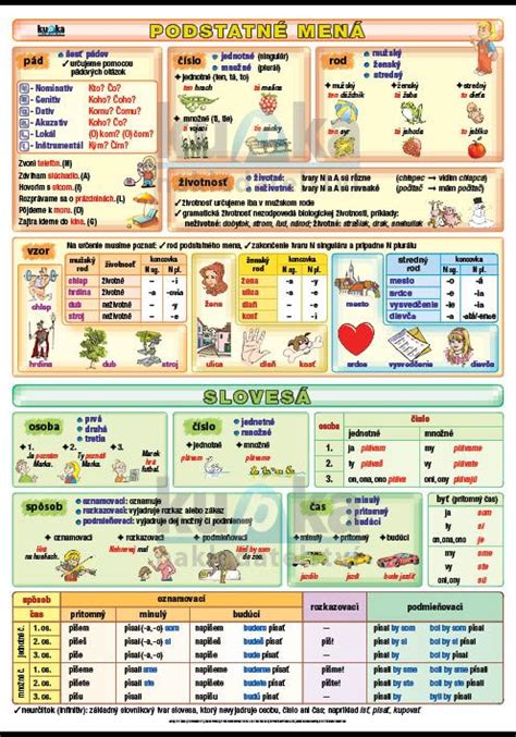 Infografika slovies podľa gramatických kategórií
