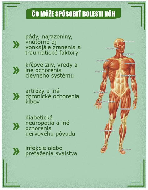 schéma anatómie nôh a príčiny bolesti