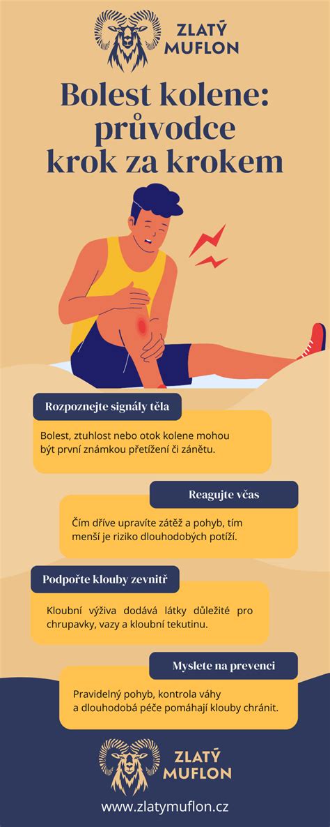 Infografika: Cesta k otehotneniu - od diagnostiky k riešeniu