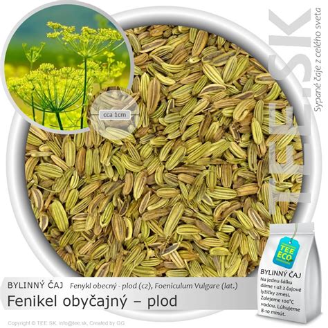 Ingrediencie pre KKF čaj: rímska rasca, koriander, fenikel