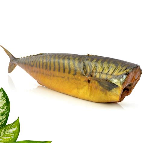 Makrela atlantická
