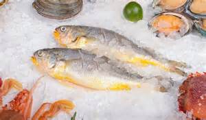 Vykres ryby tolstolobika