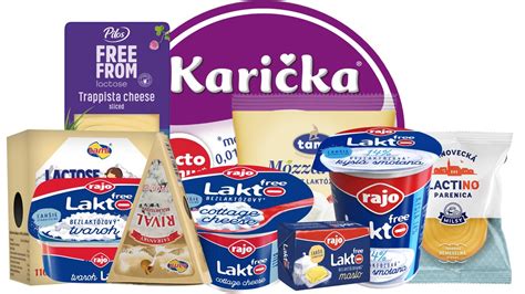 Koláž rôznych rastlinných mliek a bezlaktózových produktov