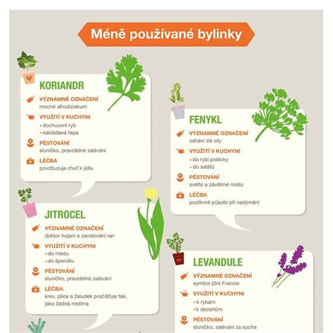 Čerstvé bylinky a koreniny používané v čínskej kuchyni