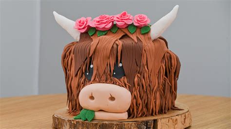Huňatá kravička Highland torta